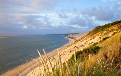 Découvrez tout sur Arcachon : Perle de la côte atlantique