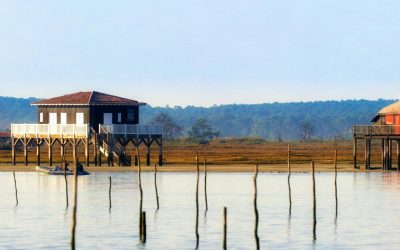 Arcachon : Le Secret Des Dunes Chantantes Que Même Les Locaux Ignorent