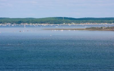 Thalassothérapie à Arcachon : une tradition, un atout, une philosophie