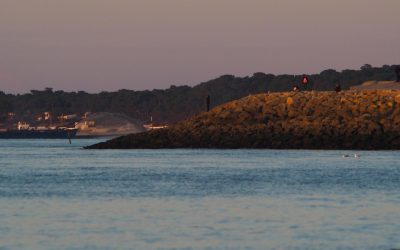 Découvrez les merveilles d’Arcachon : un trésor naturel à explorer
