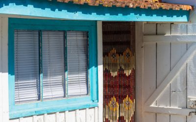 Les Secrets Inavoués du Bassin d’Arcachon Révélés