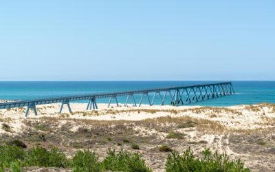 Arcachon : Quand l’écologie reprend ses droits sur la mer