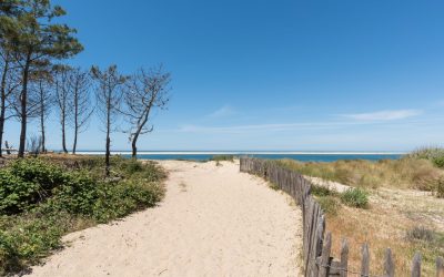 Arcachon : Ce que Vous ne Soupçonniez pas sur le Bassin qui Fascine
