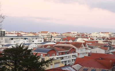 Découvrez les trésors cachés d’Arcachon : un écosystème marin fascinant
