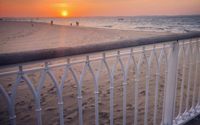Évasion au bassin d’Arcachon entre dunes pins et lagunes