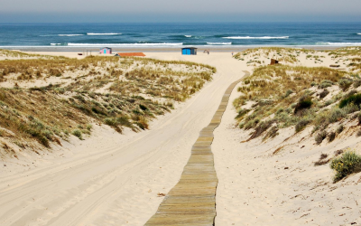 Escapade inoubliable autour du bassin d’arcachon et ses trésors