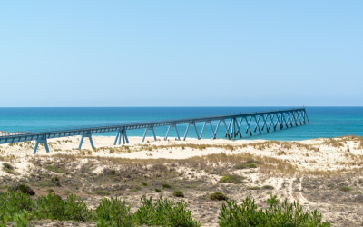 La dune du pilat, joyau atlantique prisé par 2 millions
