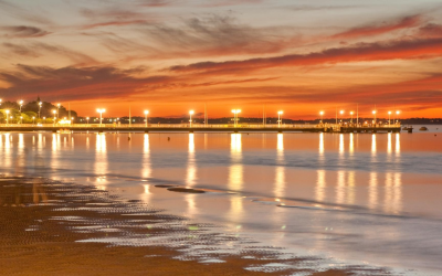 Joyau naturel du bassin d’arcachon entre pins et océan
