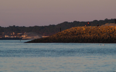 Découverte du bassin d’arcachon, dunes, cabanes et art de vivre