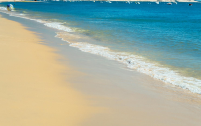 Cap ferret, éden préservé séduit 2,5 millions de visiteurs