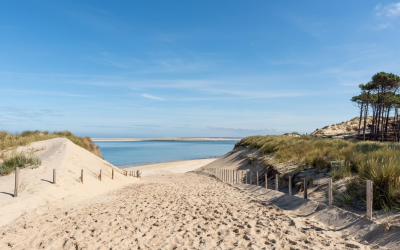Laissez-vous envoûter par le bassin d’arcachon et ses trésors insoupçonnés