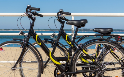 Cap ferret, joyau du bassin d’arcachon séduit 1,2 million visiteurs