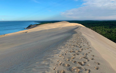 Évasion authentique au bassin d’arcachon entre dunes et cabanes ostréicoles