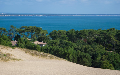 Explorez le Bassin d’Arcachon entre dunes et traditions ostréicoles