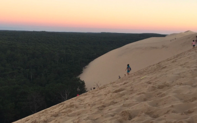 Arcachon attire 1,8 million de visiteurs en quête d’authenticité inoubliable
